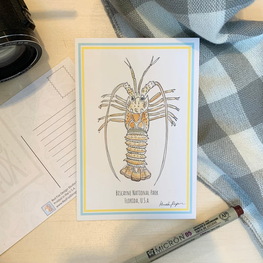 Spiny Lobster Postcard