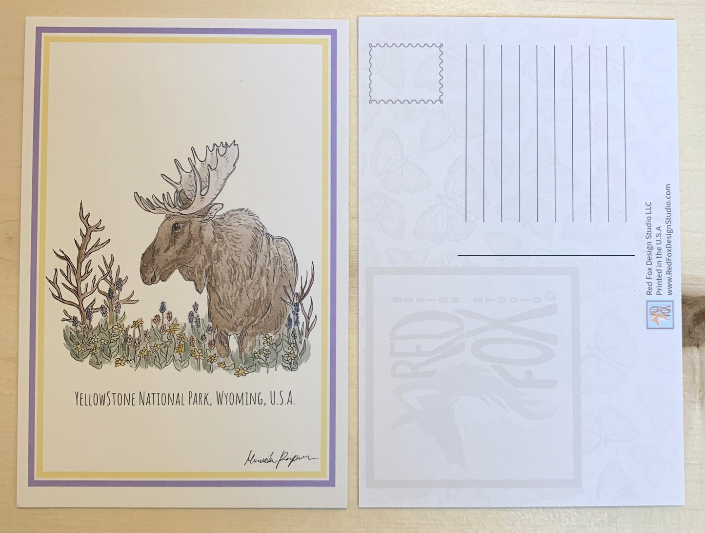 Yellowstone Moose Postcard
