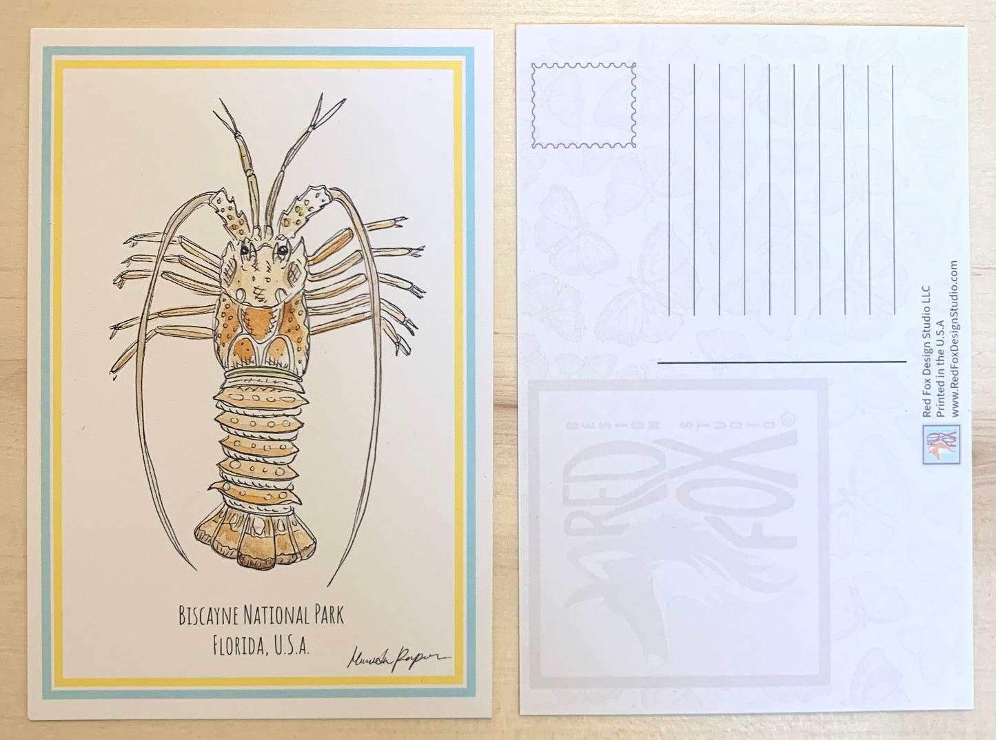 Spiny Lobster Postcard