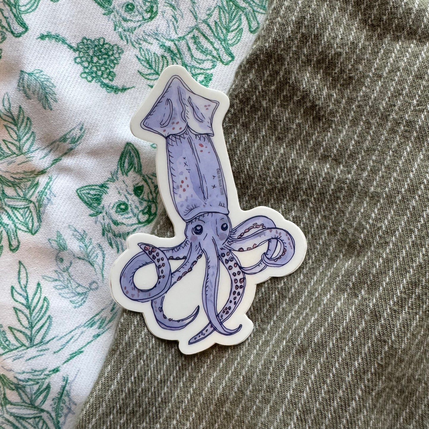 Shortfin Squid Sticker