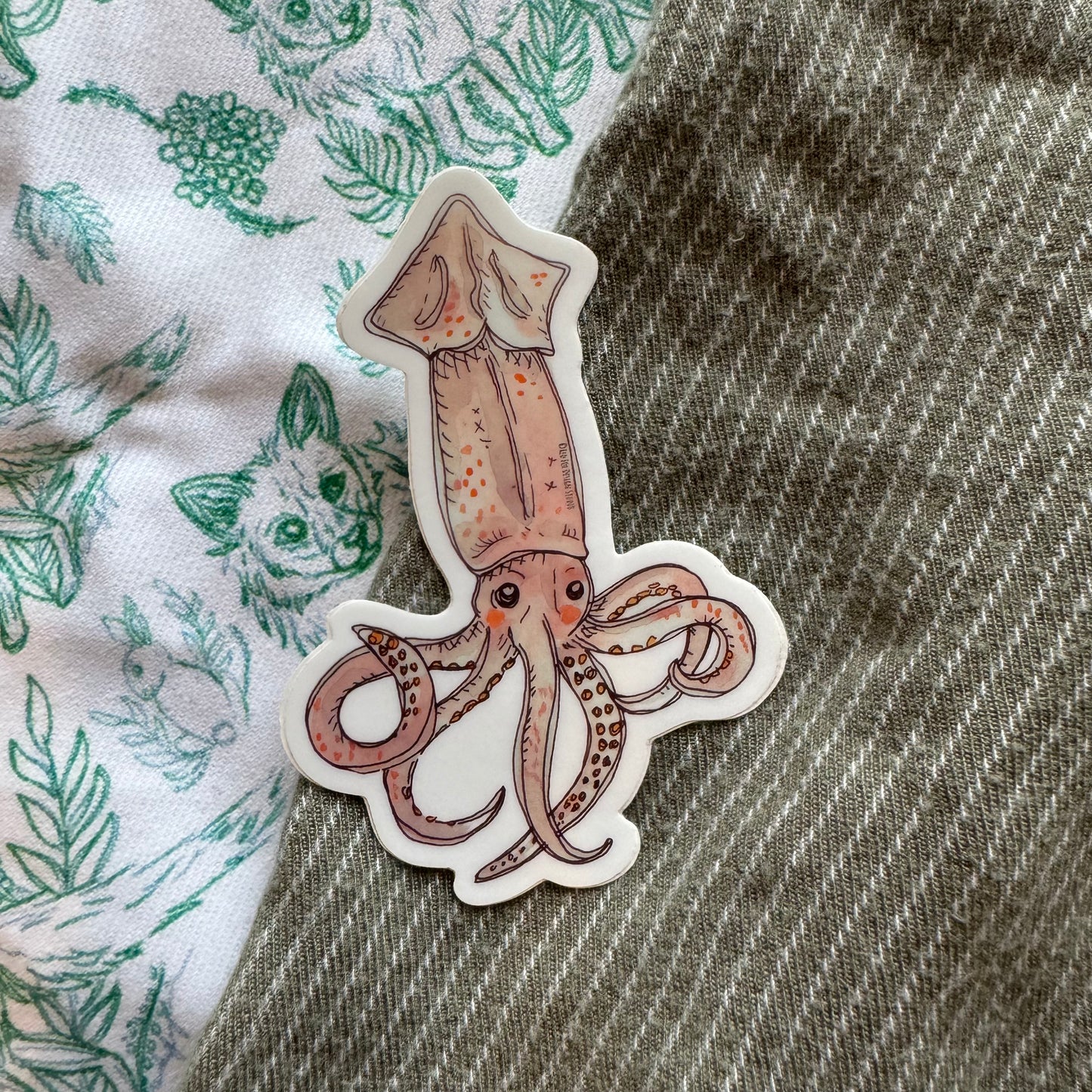 Shortfin Squid Sticker