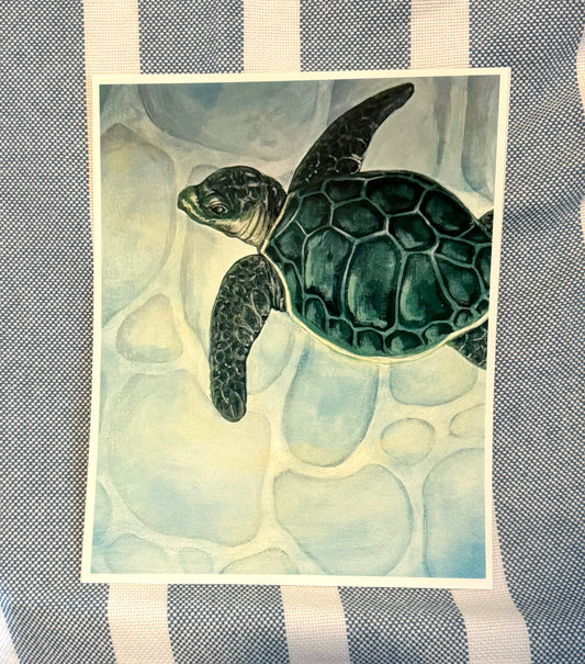 Turtle Print