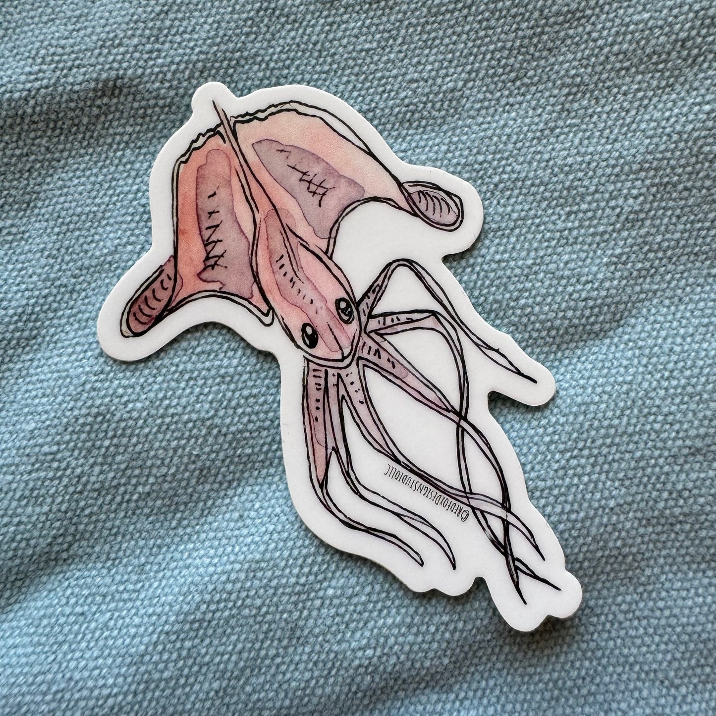 Magnapinna Squid Sticker