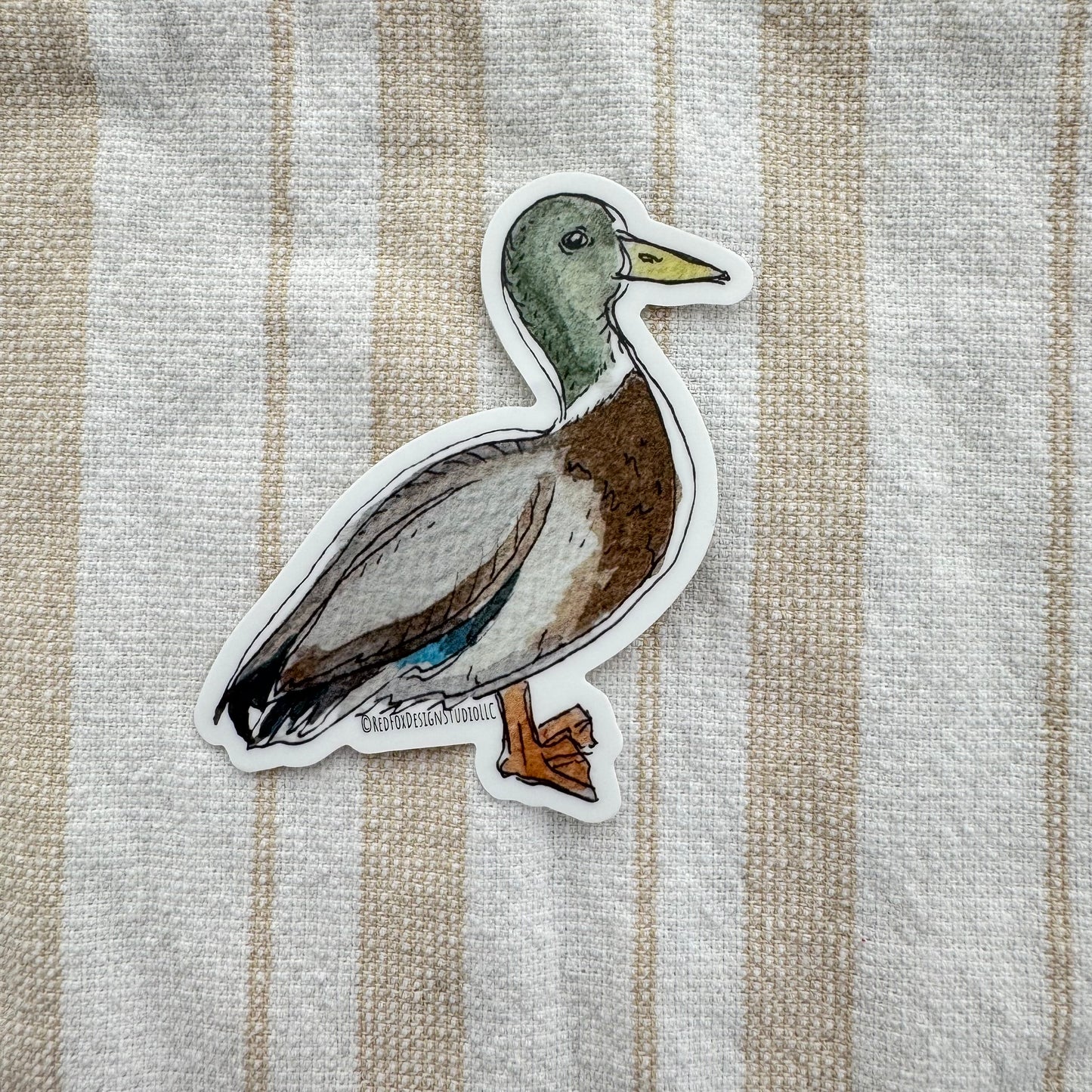 Mallard Male Sticker