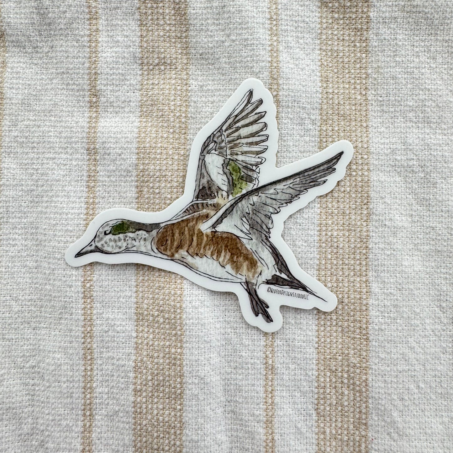 American Wigeon Duck Sticker