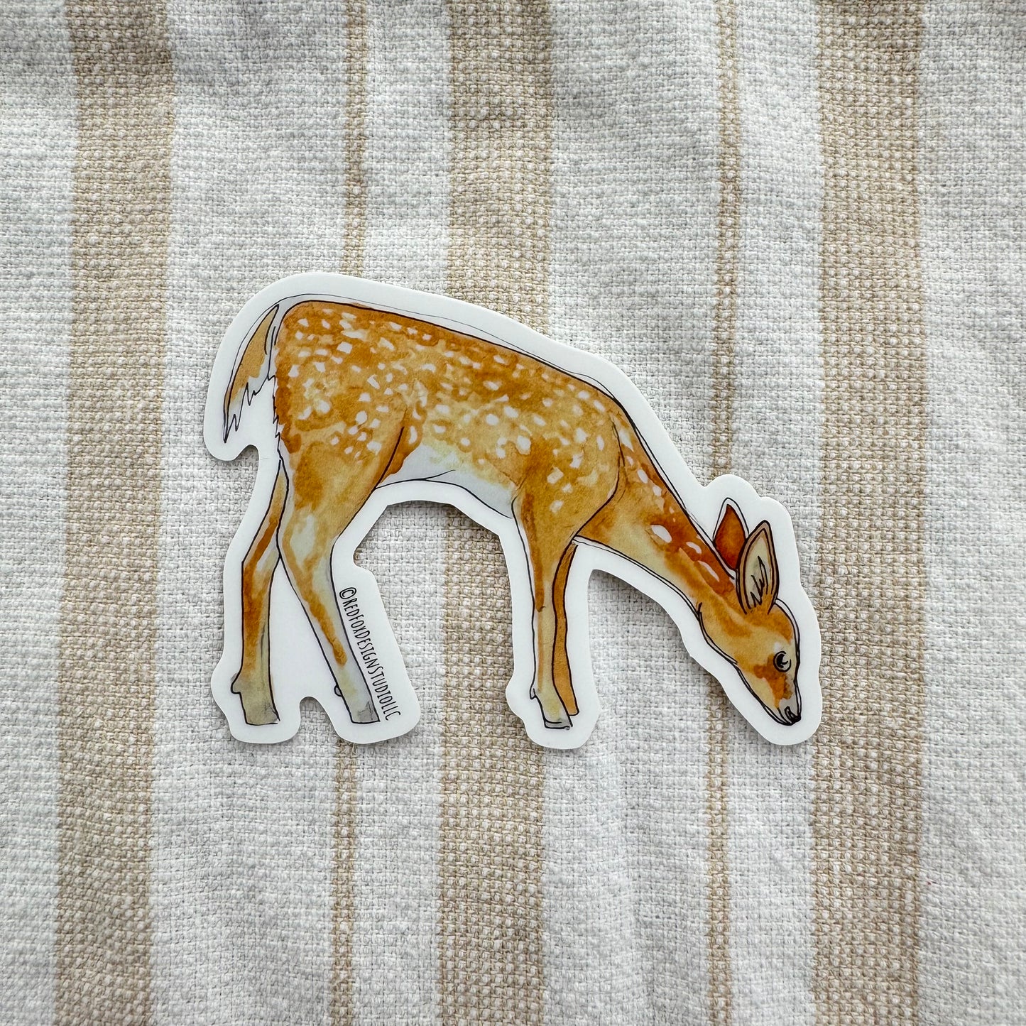 Whitetail Fawn Sticker
