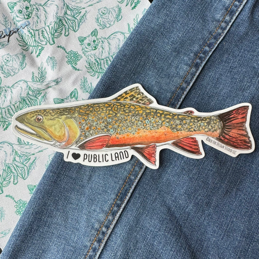 XL I Heart Public Land Sticker