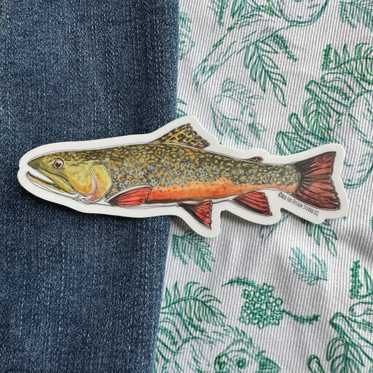 Brook Trout Sticker