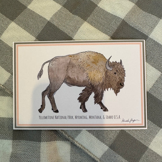 Yellowstone Bison Postcard