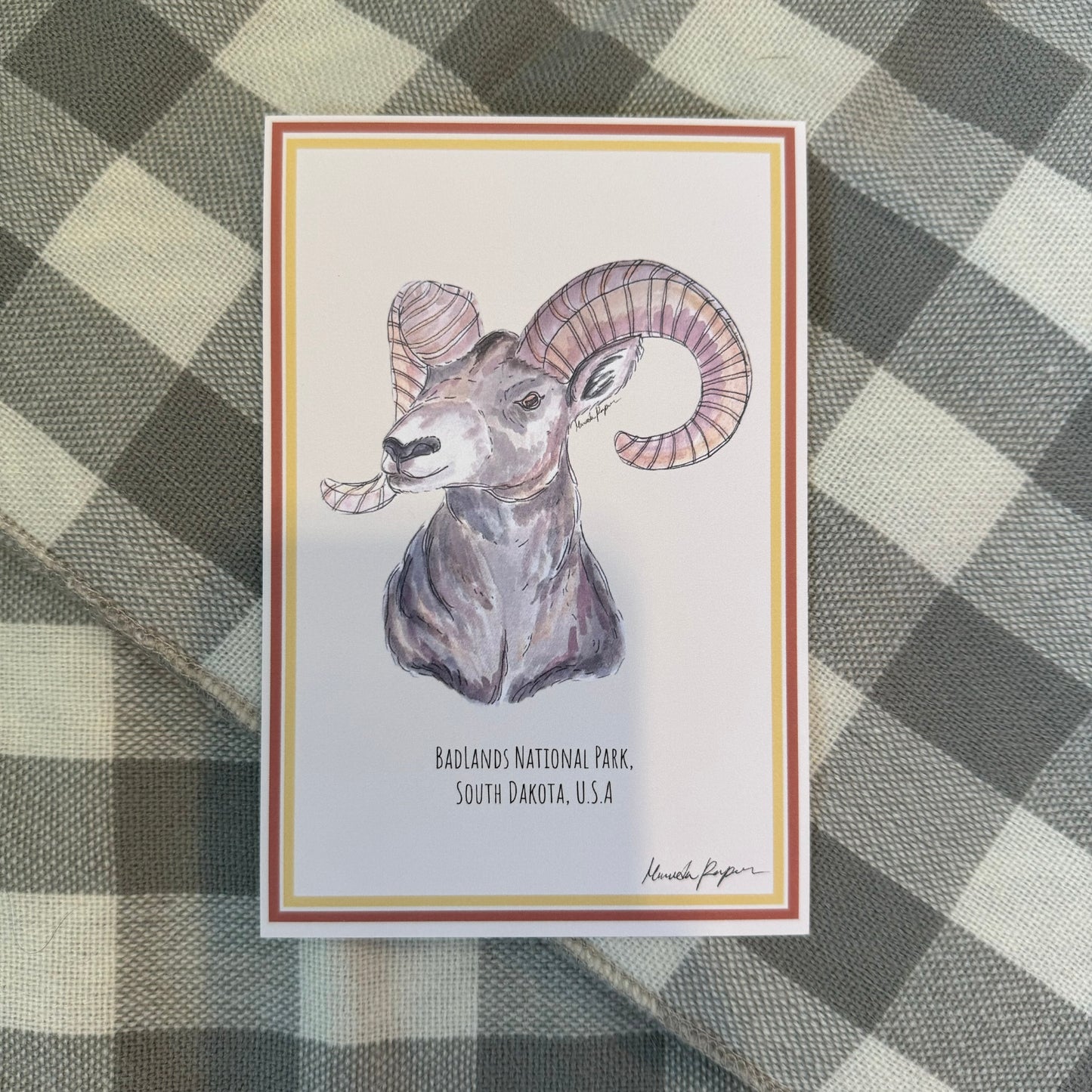 Badlands Bighorn Sheep Postcard