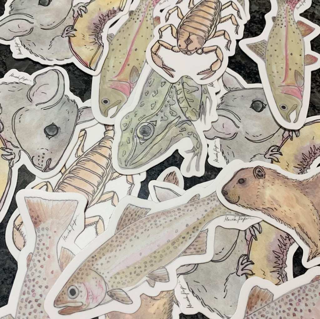 Mystery Sticker Bundle