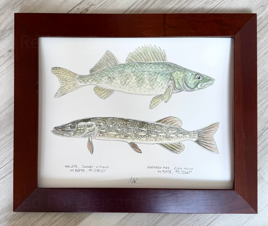 Walleye & Northern Pike