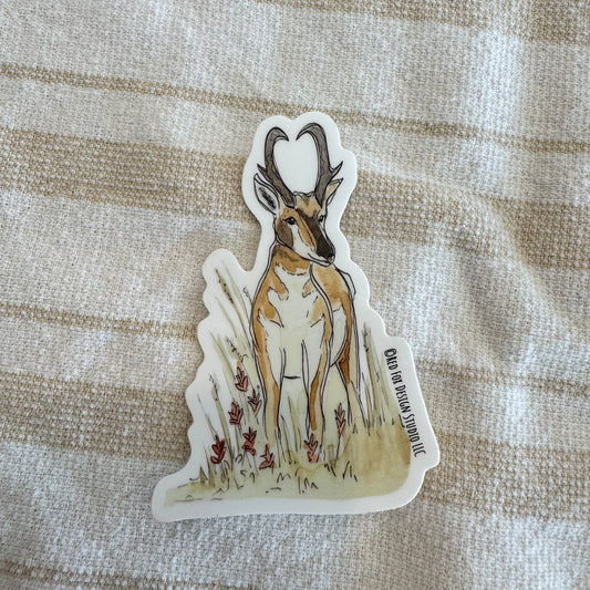 Pronghorn Sticker