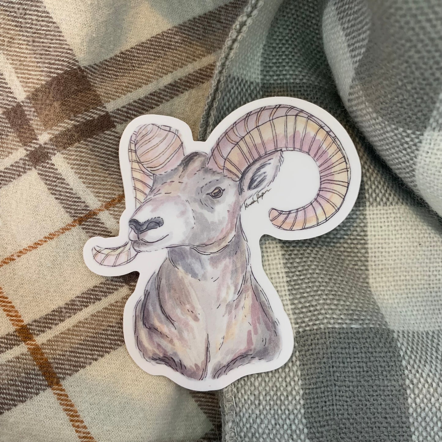 BigHorn Sheep Sticker