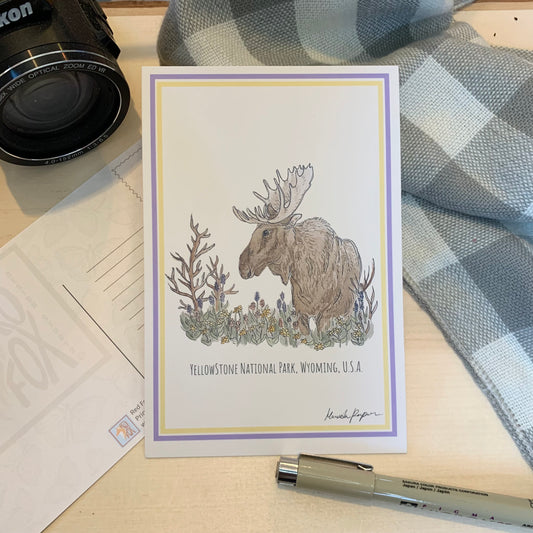 Yellowstone Moose Postcard