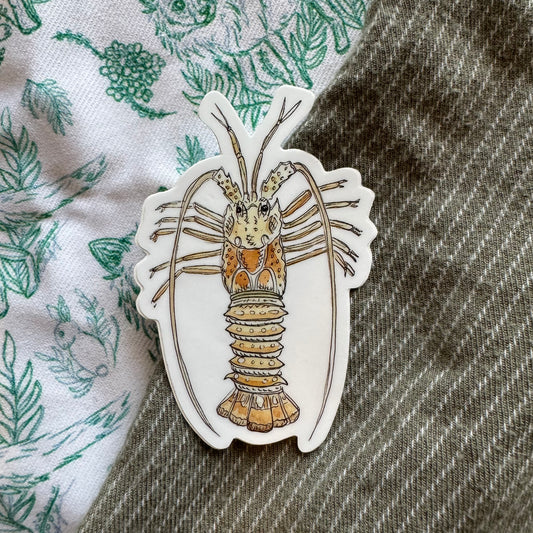 Spiny Lobster Sticker