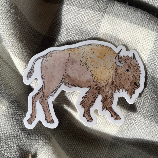 Bison Sticker