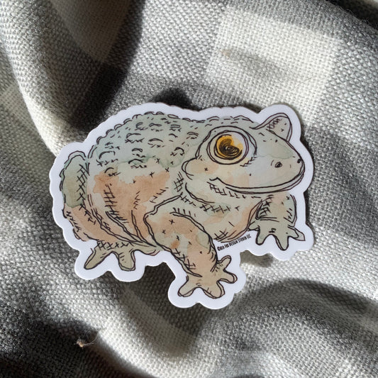 Happy Frog Sticker