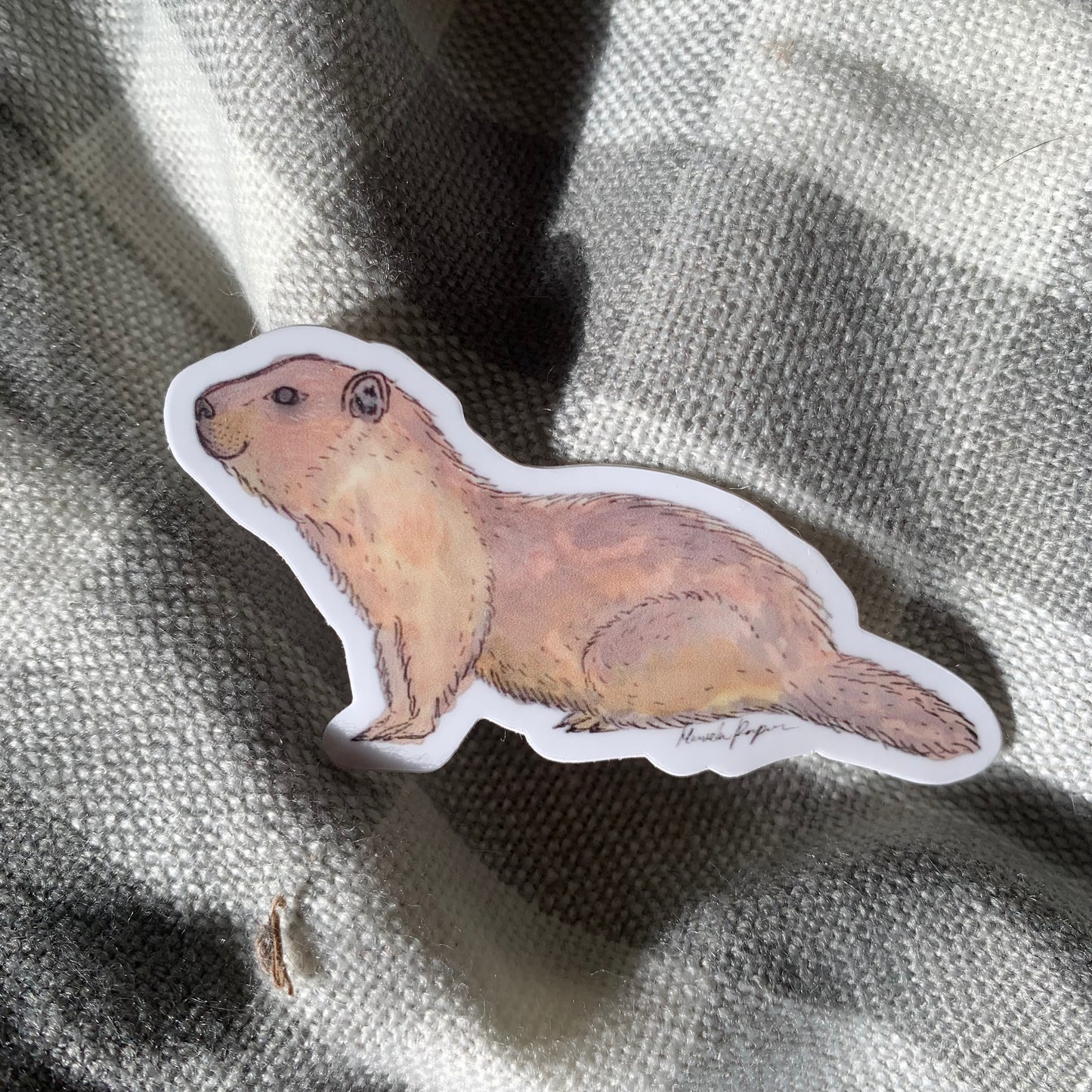 Watercolor sticker of a yellow bellied marmot on top of plaid flannel background