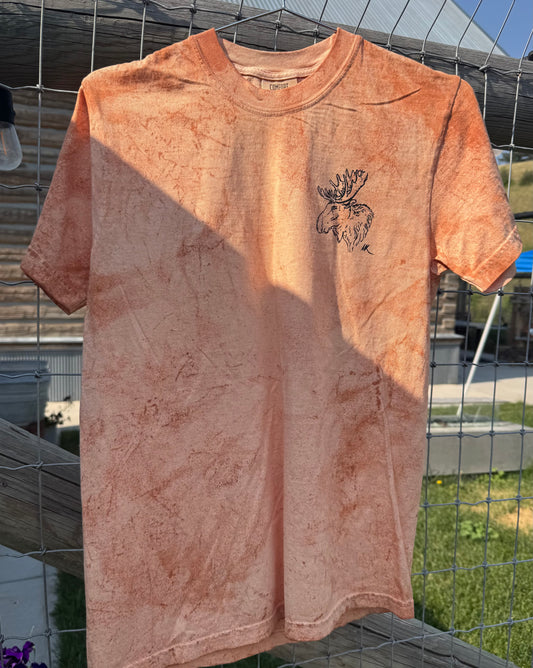 Baby Tangerine Moose Short Sleeve Tee