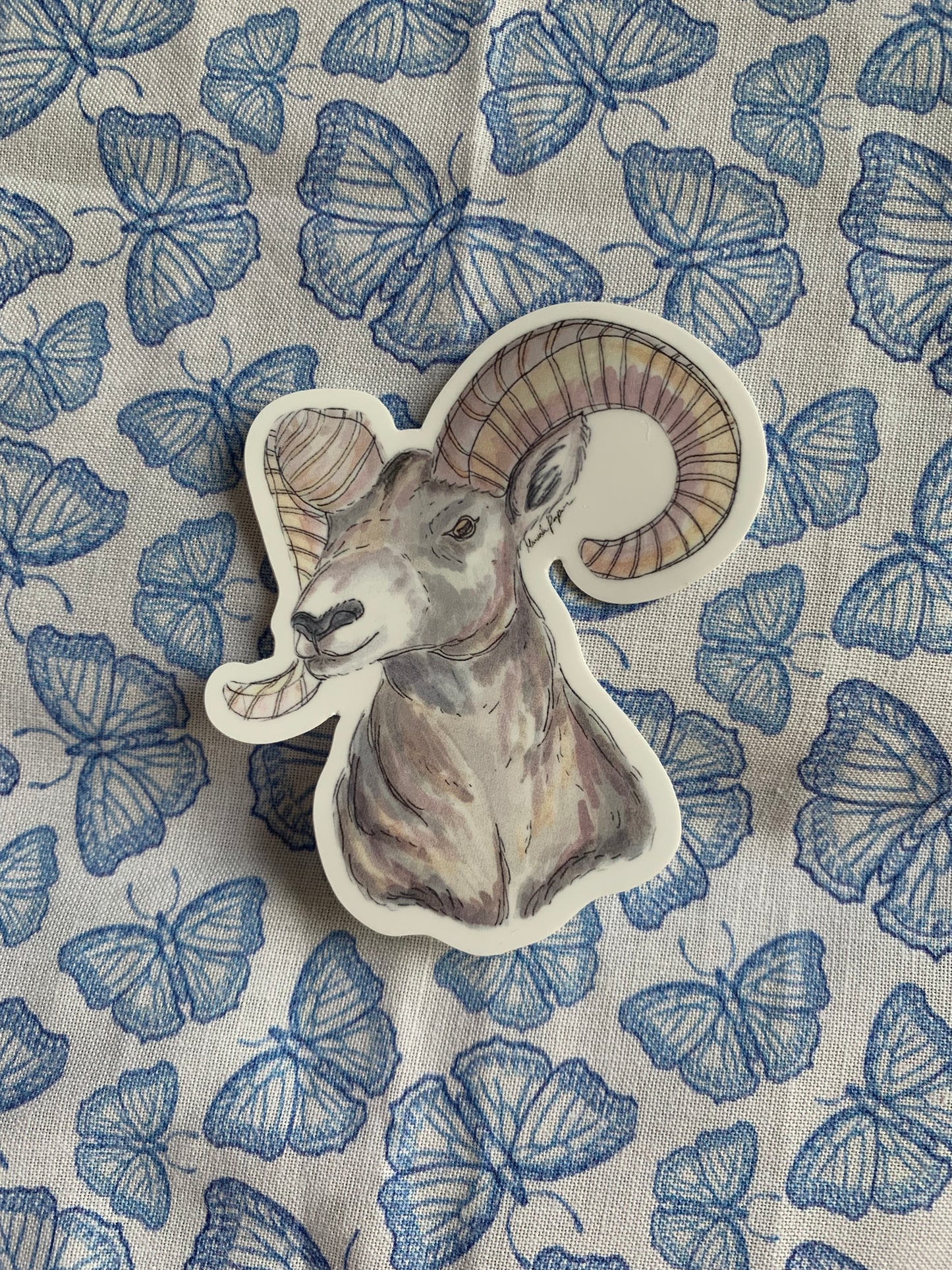 BigHorn Sheep Sticker