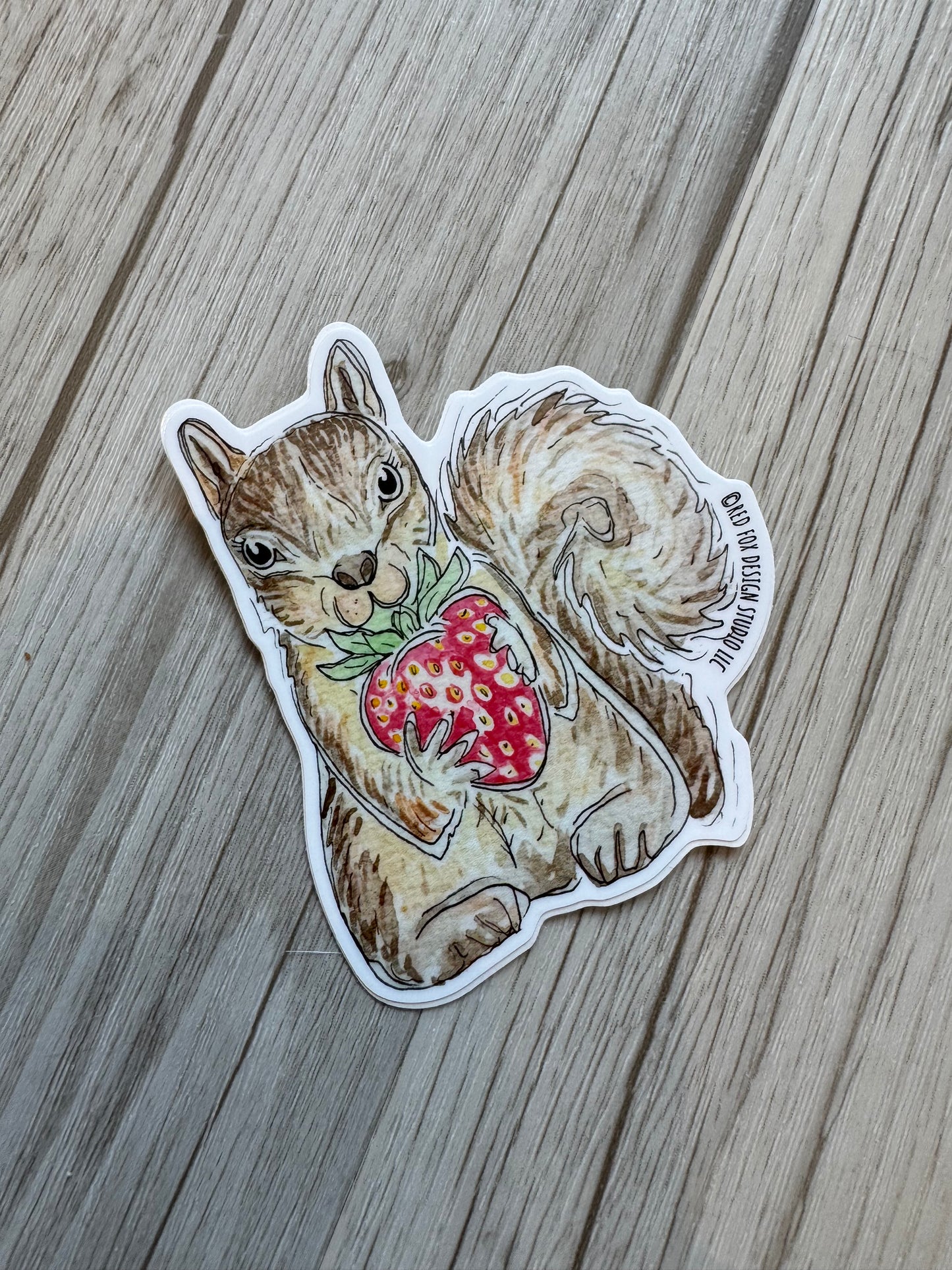 Squirrel with Strawberry Sticker
