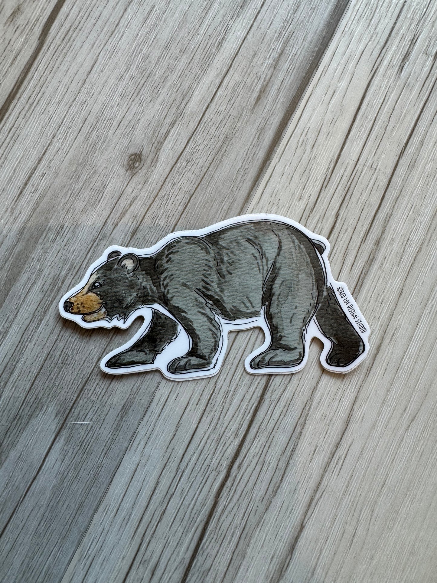 Black Bear Sticker