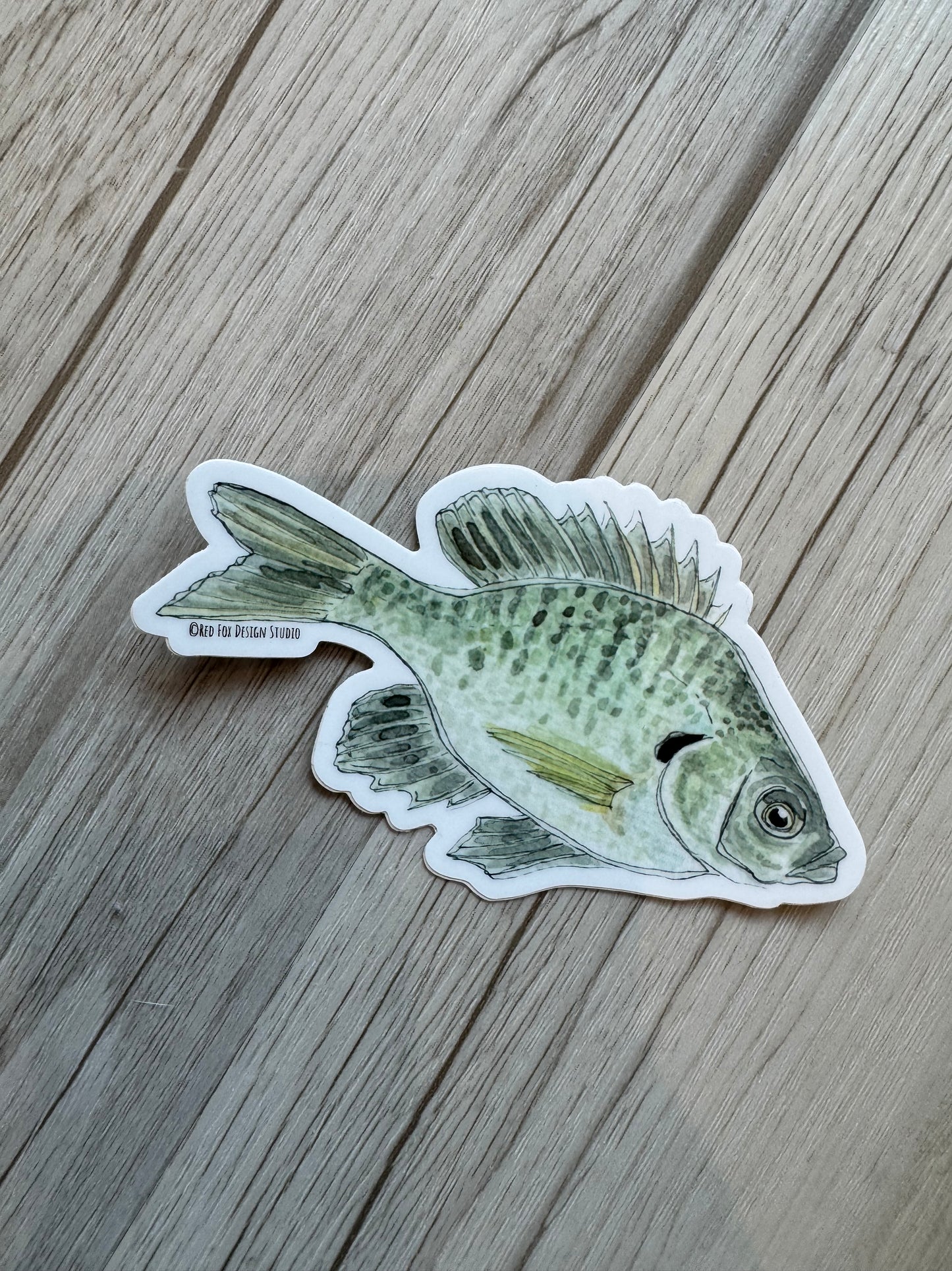 Bluegill Sticker
