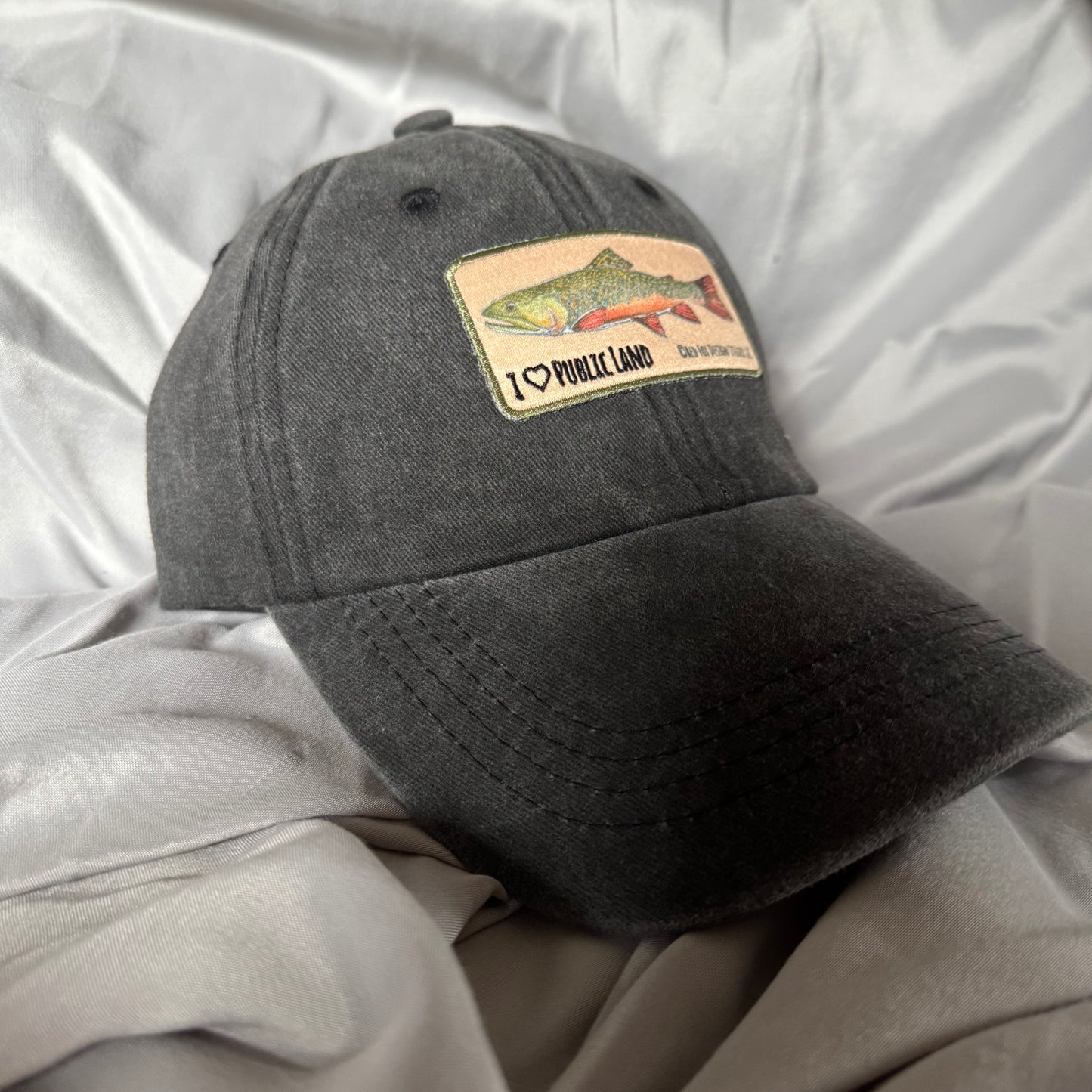 I Heart Public Land Hat