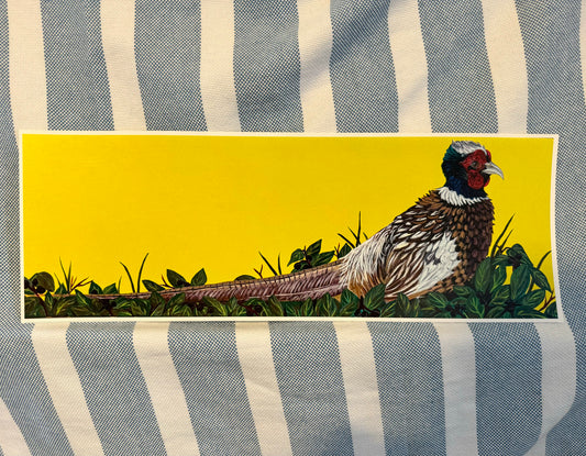 Pheasant Print