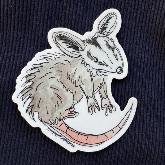 Possum Sticker