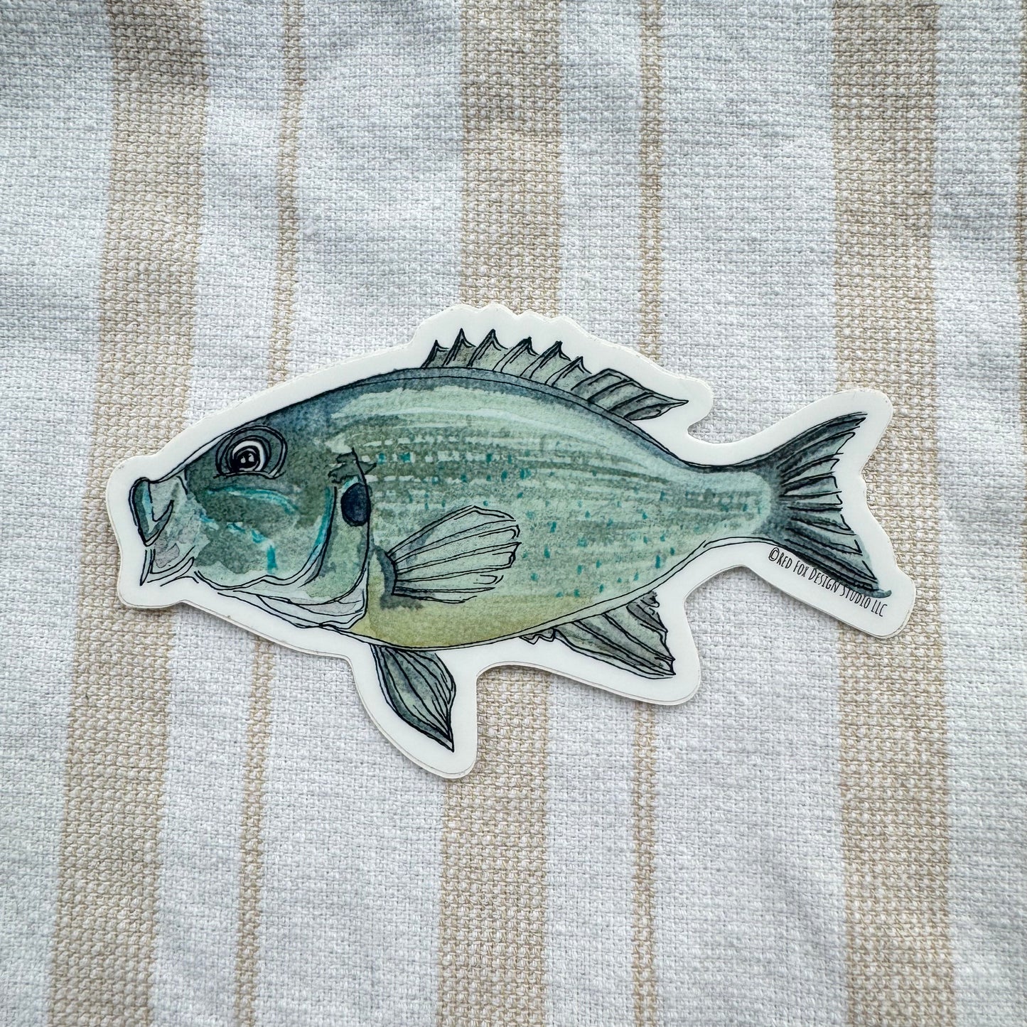 Bluegill Sticker