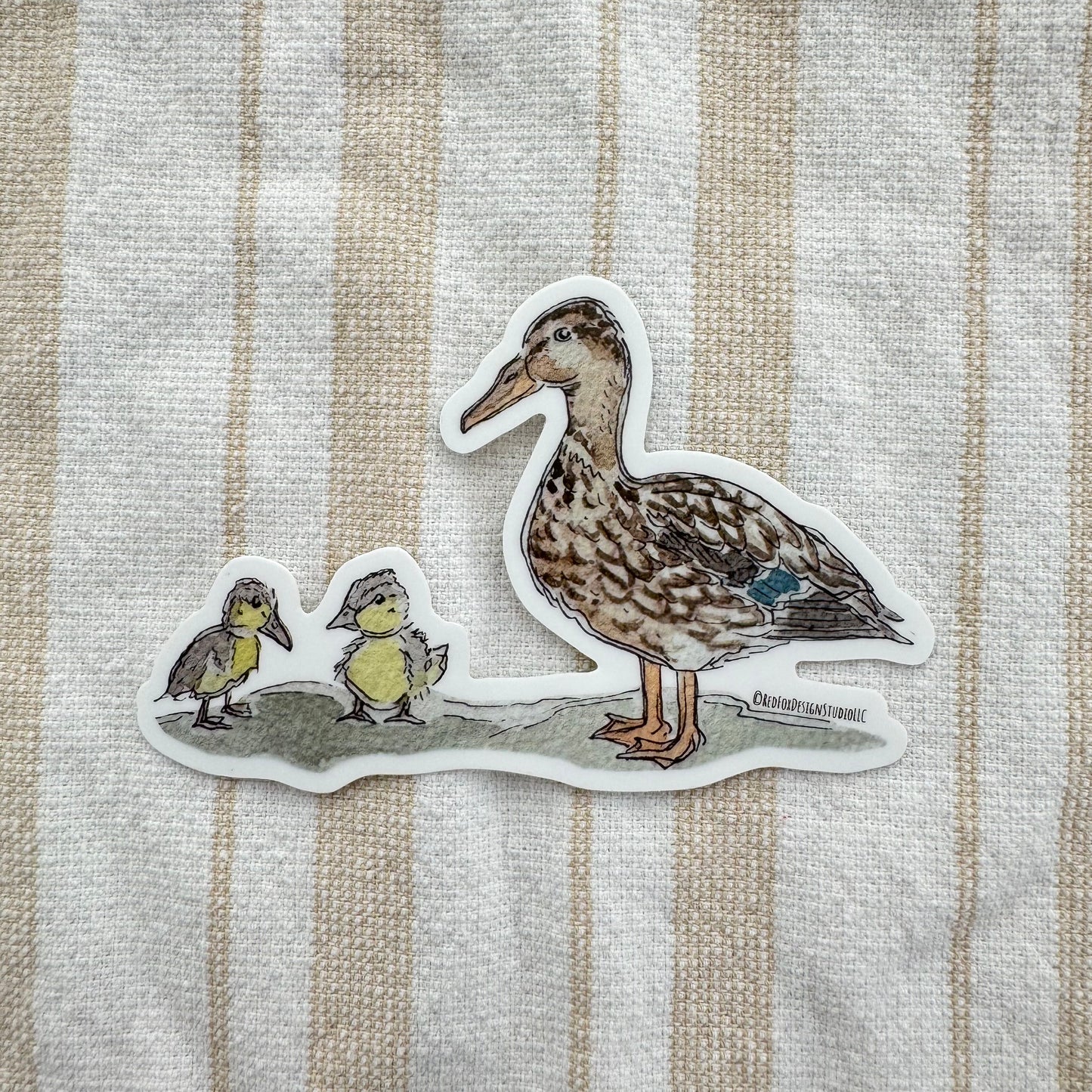 Mallard Female Sticker