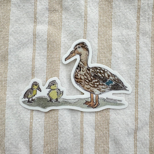 Mallard Female Sticker