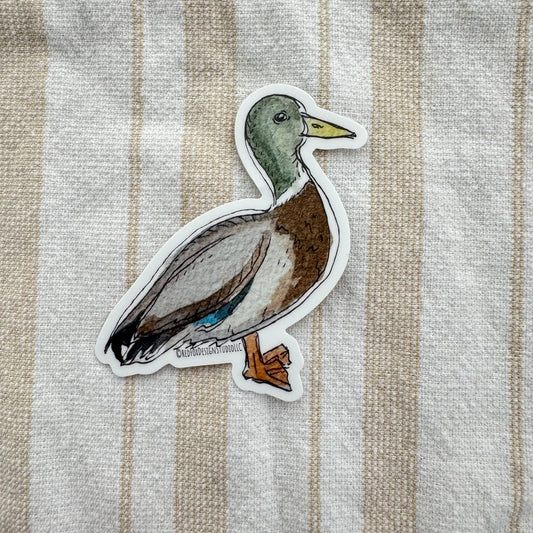 Mallard Male Sticker