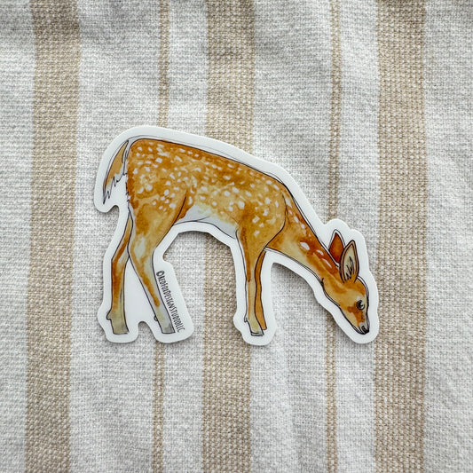 Whitetail Fawn Sticker