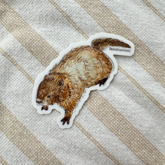 Yellow-Bellied Marmot Sticker
