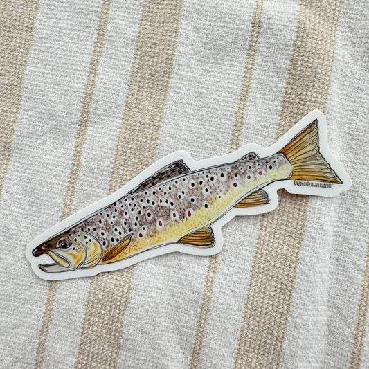 Brown Trout Sticker