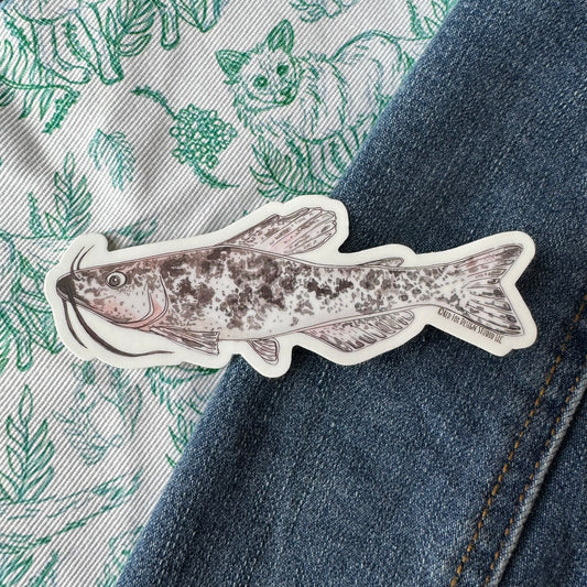 Spotted Catfish Sticker