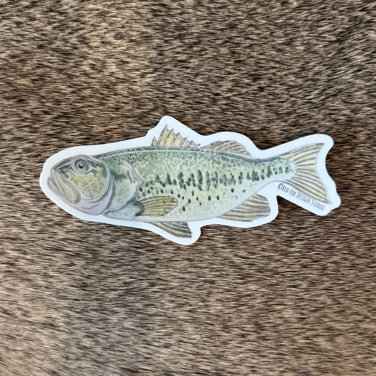 Largemouth Bass Sticker