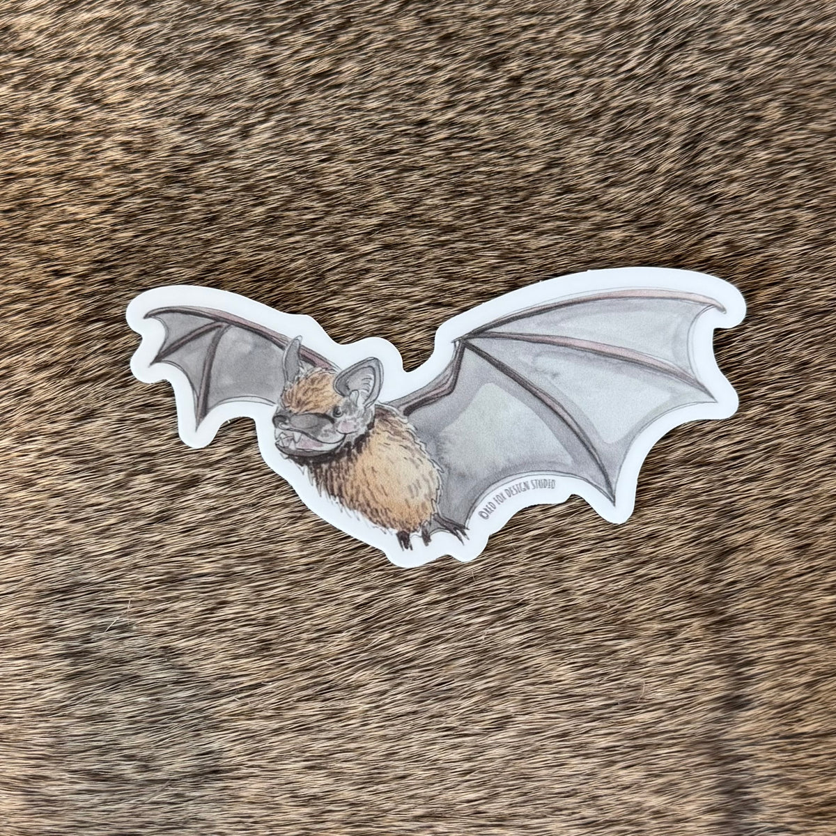 Little Brown Bat Sticker