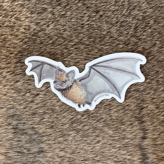 Little Brown Bat Sticker