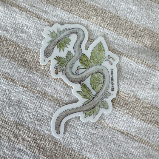 Rubber Boa Sticker