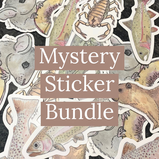 Mystery Sticker Bundle