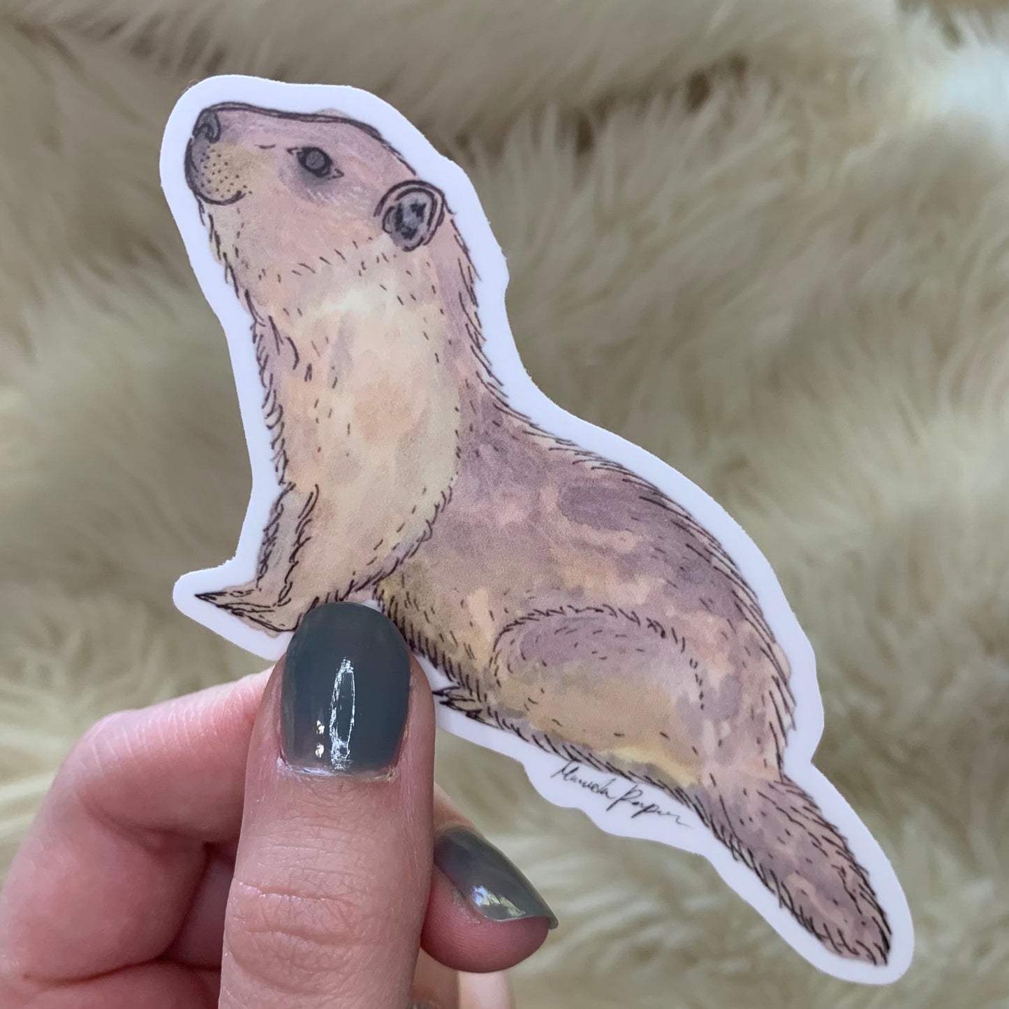 Marmot Sticker