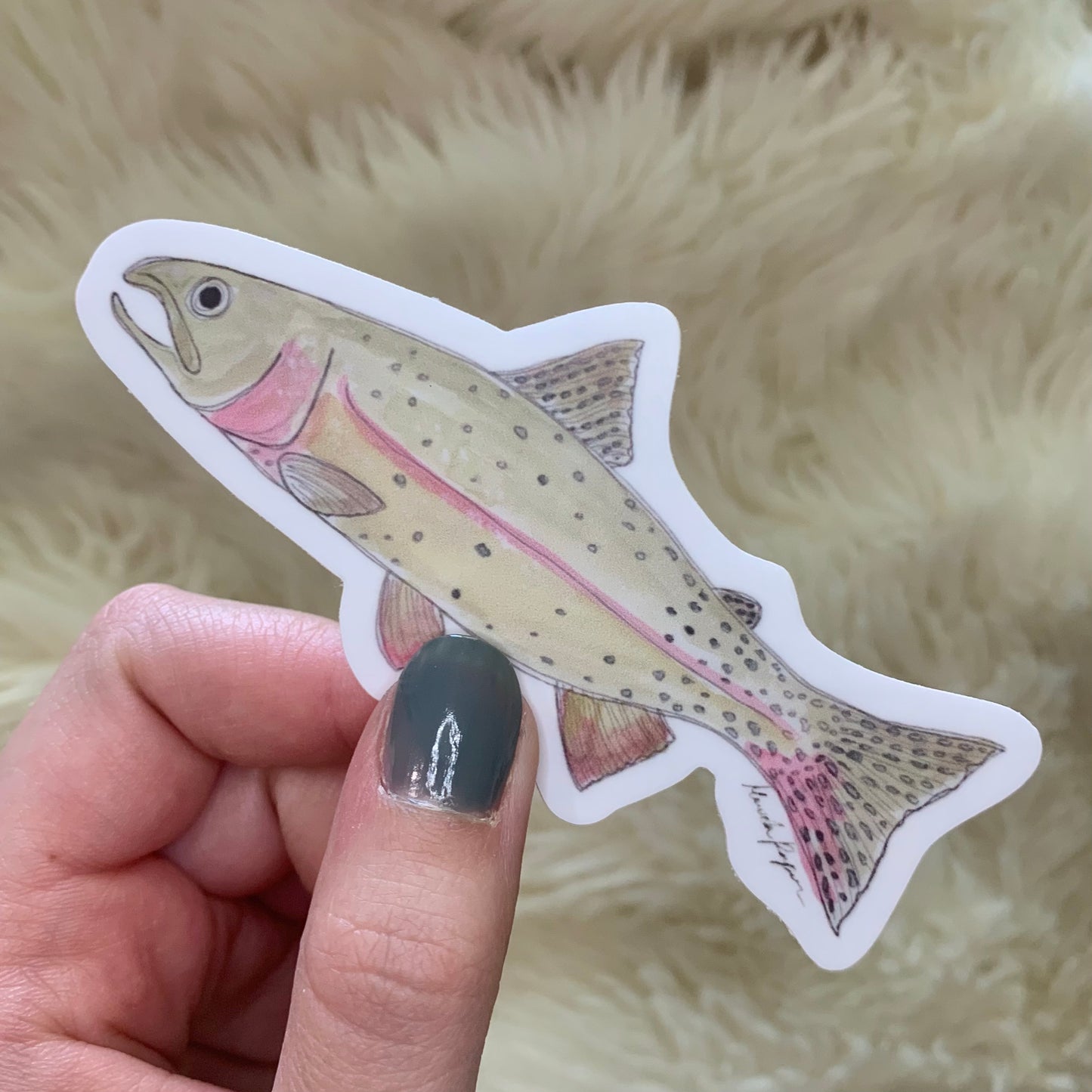 Cutthroat Trout Sticker