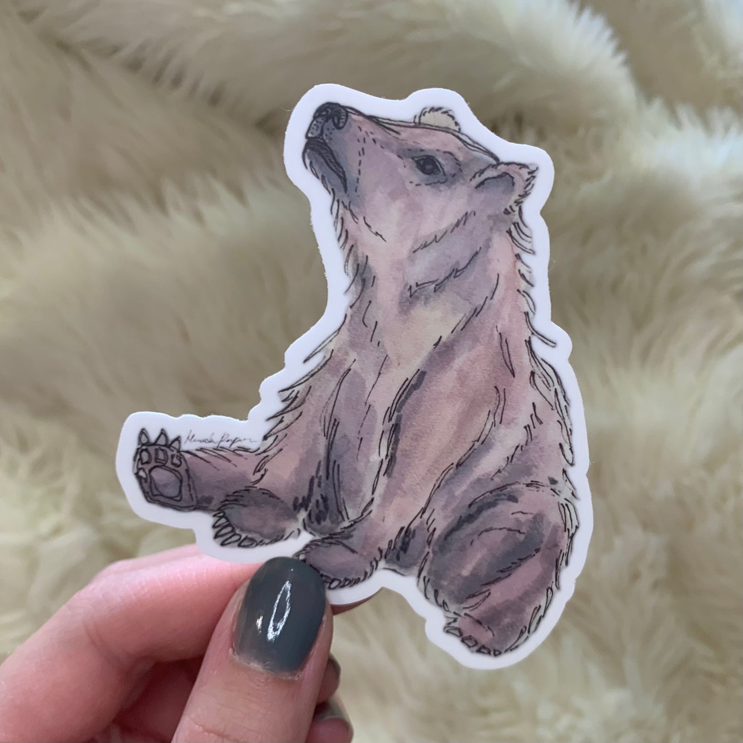 Grizzly Bear Sticker