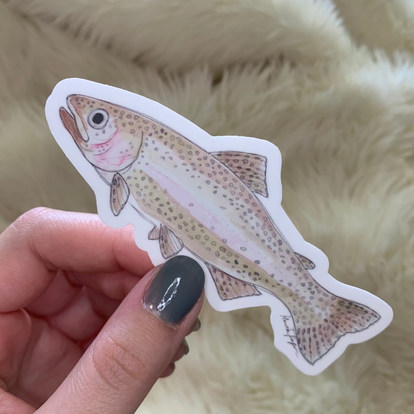 Rainbow Trout Sticker